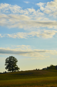 如何打造一款千亿级别的成功APP产品 如何打造一款千亿级别的成功APP产品