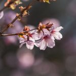 如何选择安全可靠的澳门游戏网站平台进行游戏娱乐 1c8d7d4a4q