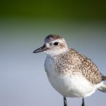 如何安全访问必赢真实网址,保障您的在线体验 77vf5s8t0e