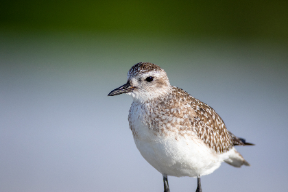 如何安全访问必赢真实网址,保障您的在线体验 如何安全访问必赢真实网址,保障您的在线体验