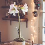 畅享空军一号娱乐手机版,体验极致游戏乐趣 zs4ap